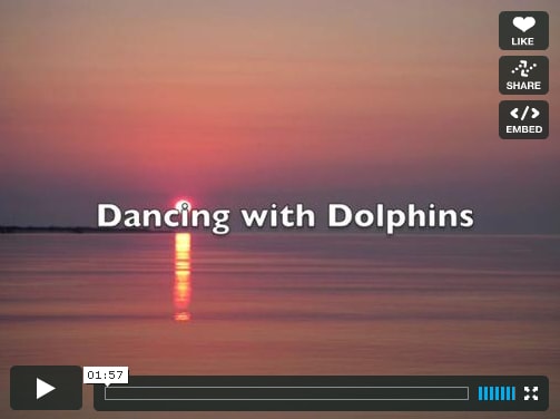dancingwithdolphinscoverphoto Dancing with Dolphins
